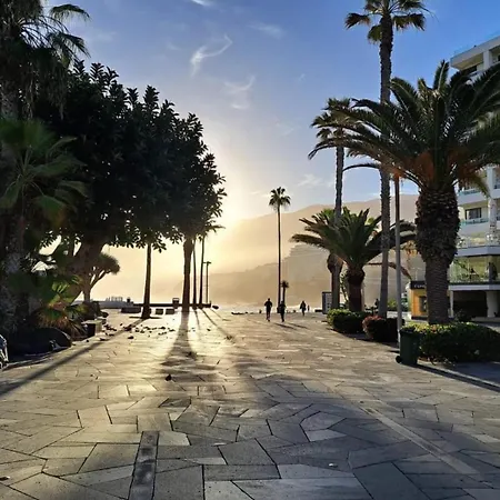 Estudio Litre * Puerto de la Cruz