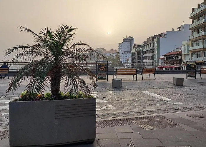 Estudio Litre Daire *